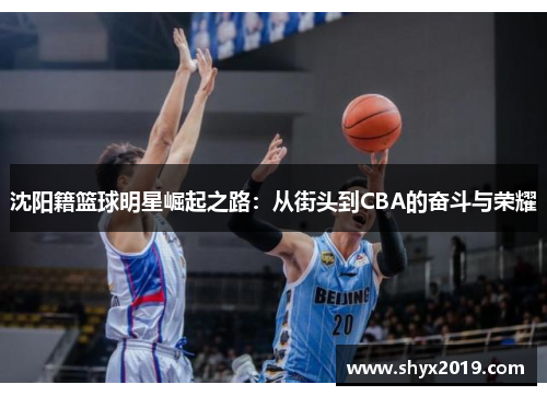 沈阳籍篮球明星崛起之路：从街头到CBA的奋斗与荣耀